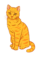 chat icone
